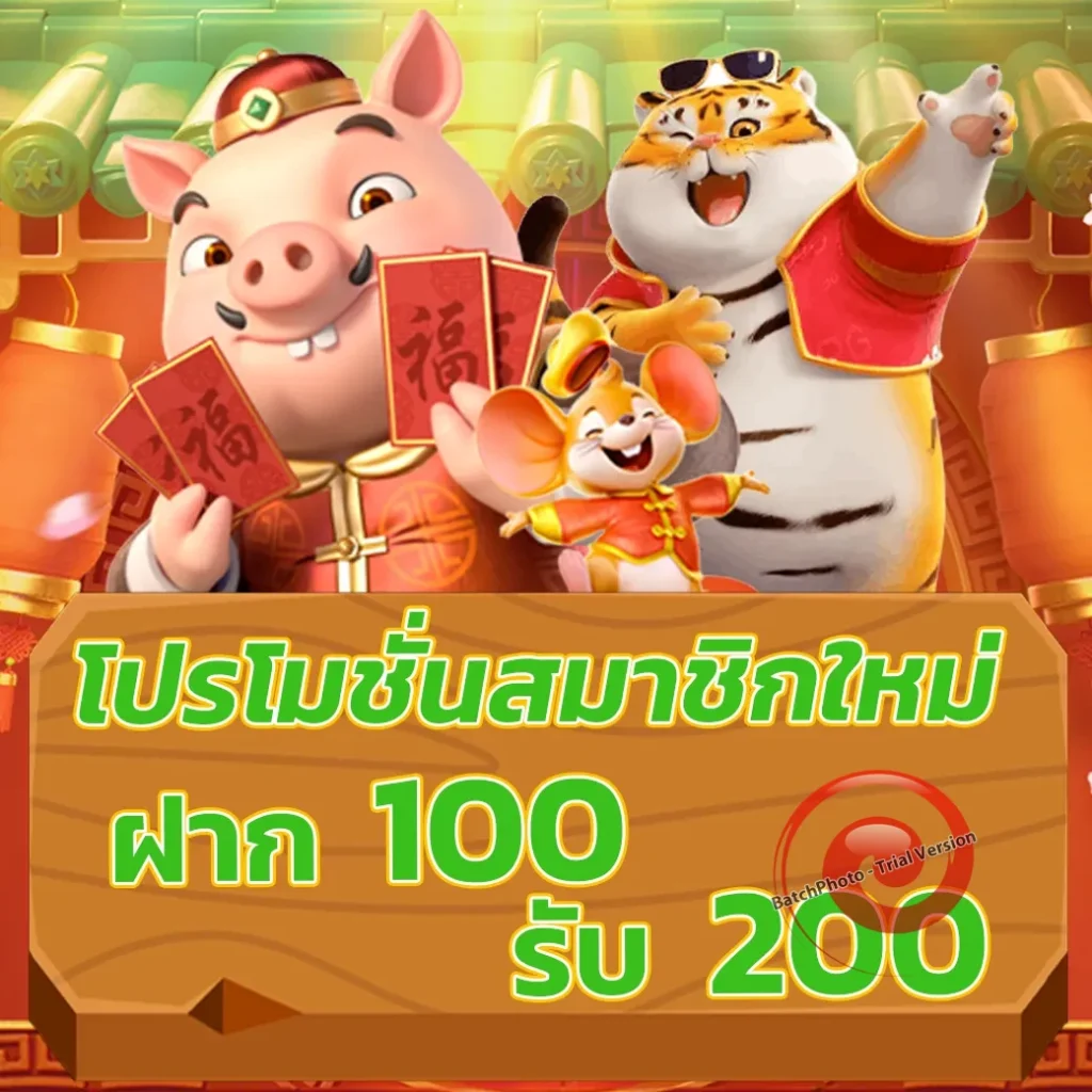 rich 555 ไม่มีขั้นต่ำ